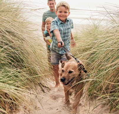 Thing To Do Pet Friendly Vacation Rentals